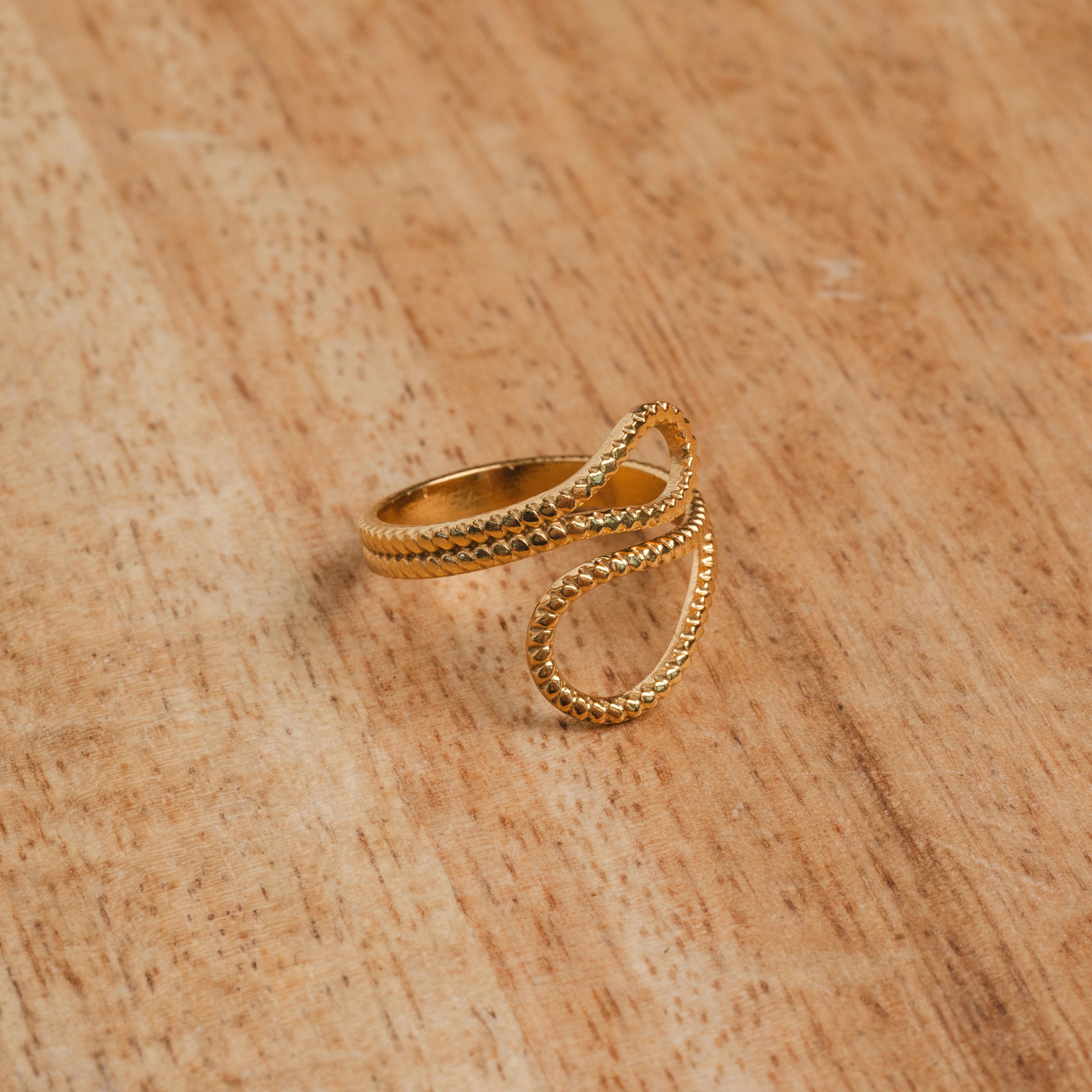 Anel Ajustável Ava Abstrato Banhado em Ouro 18K